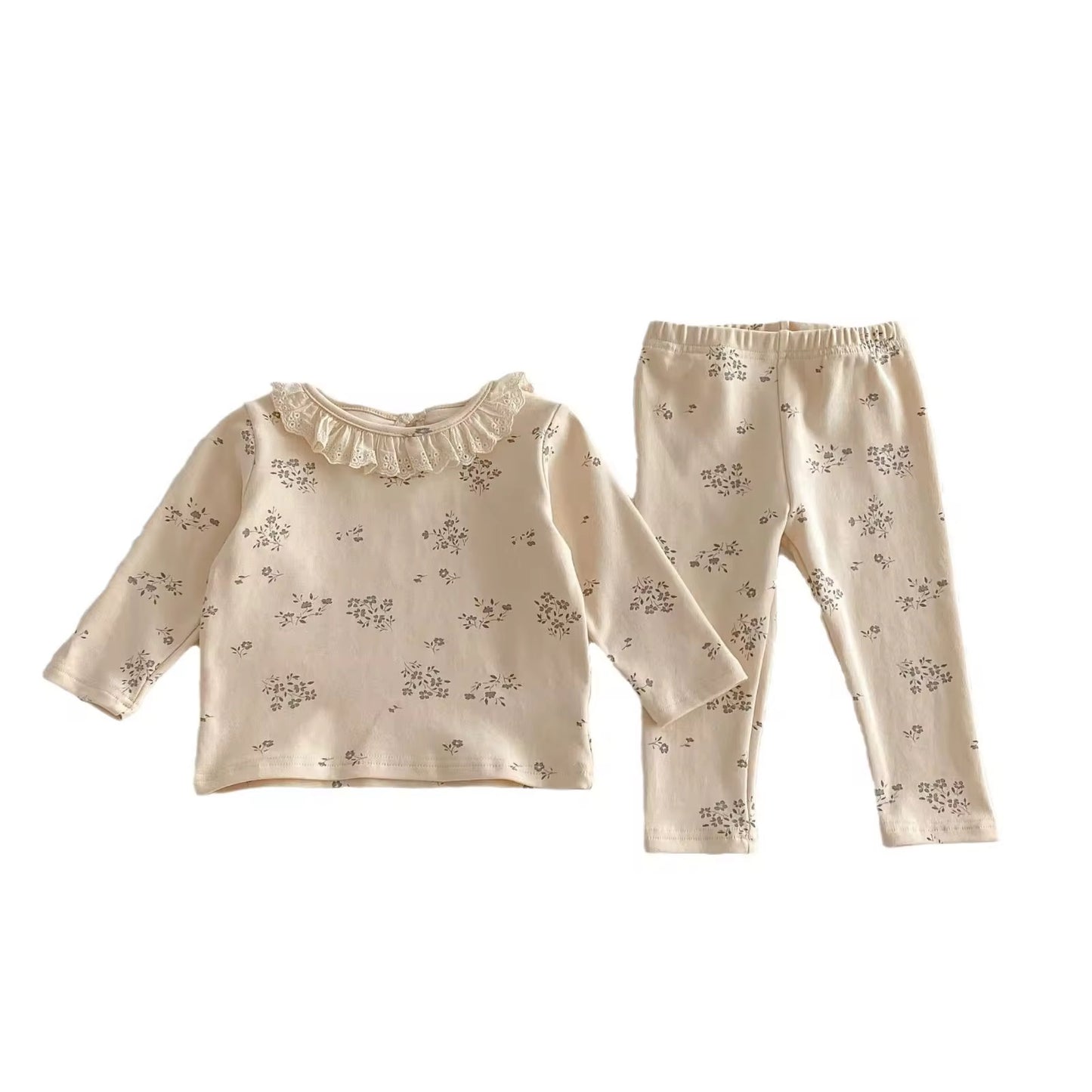 Aster Set
