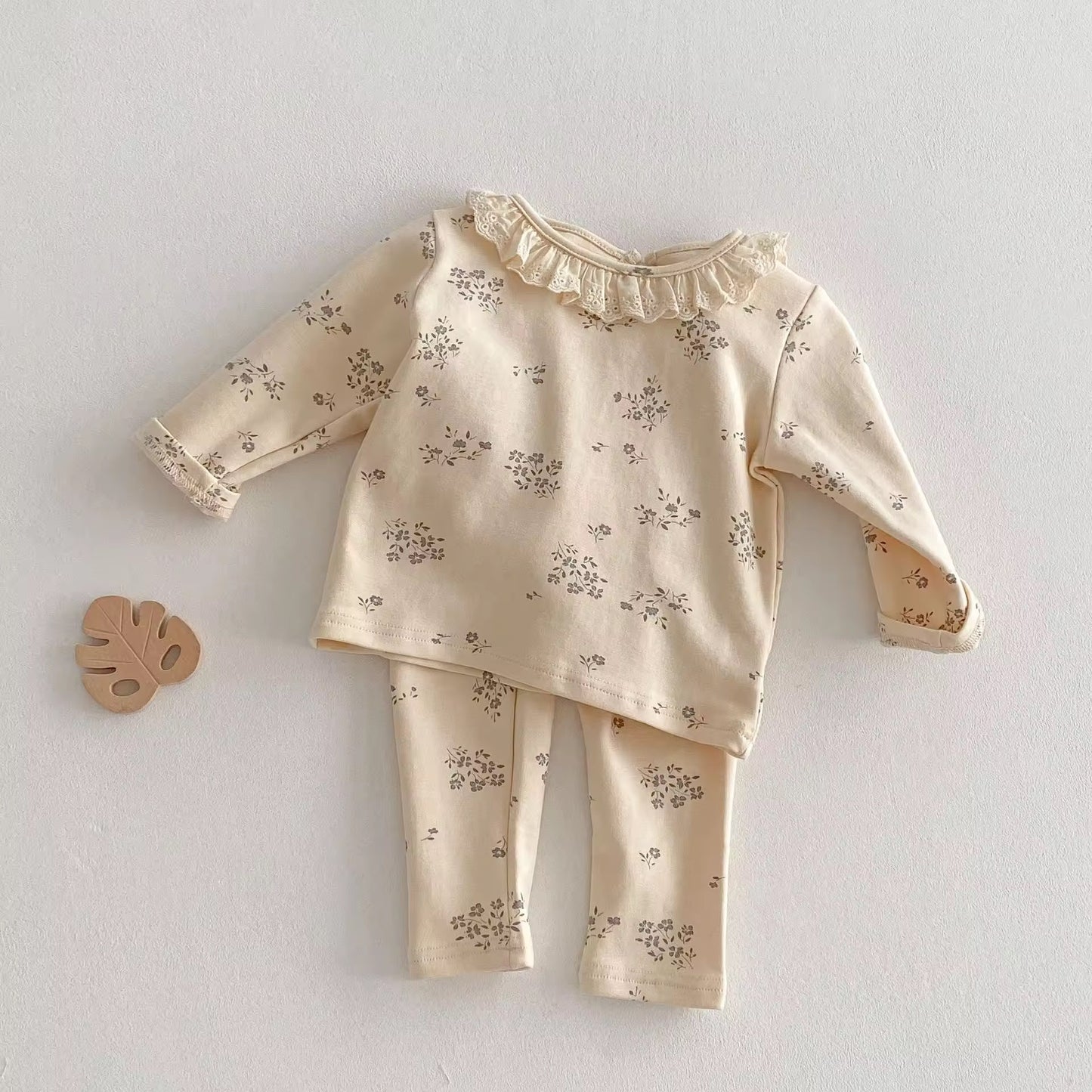 Aster Set